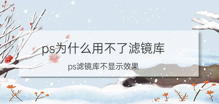 ps为什么用不了滤镜库 ps滤镜库不显示效果？